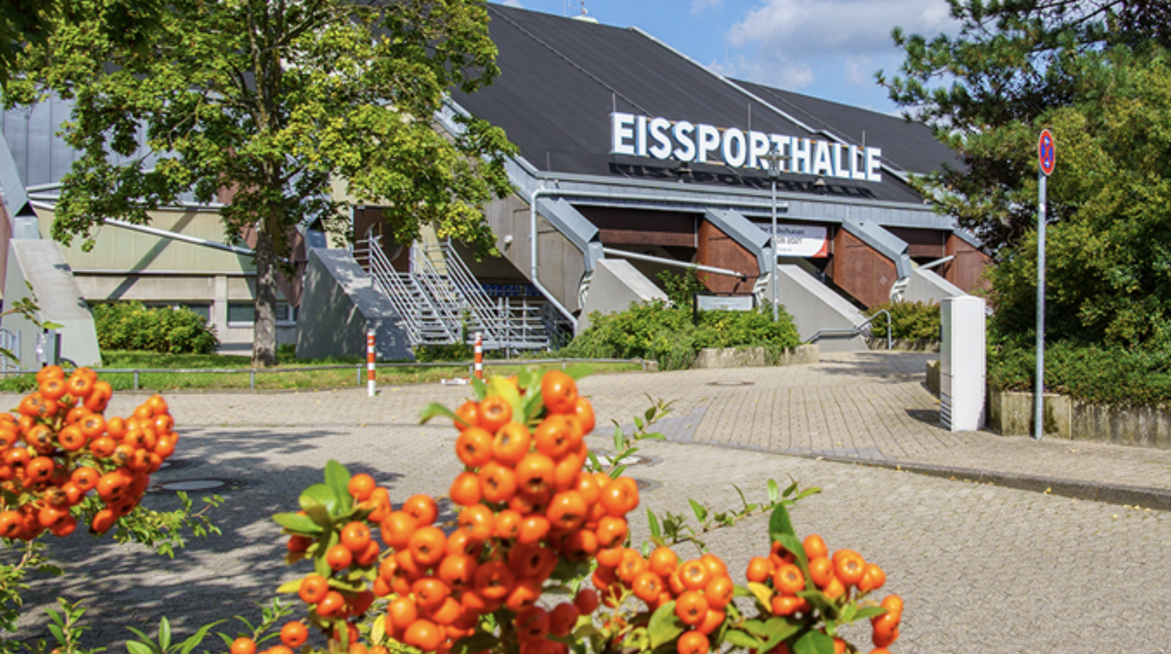 Internationale Rassekatzenausstellung Ratingen 11. + 12.05.2024.png